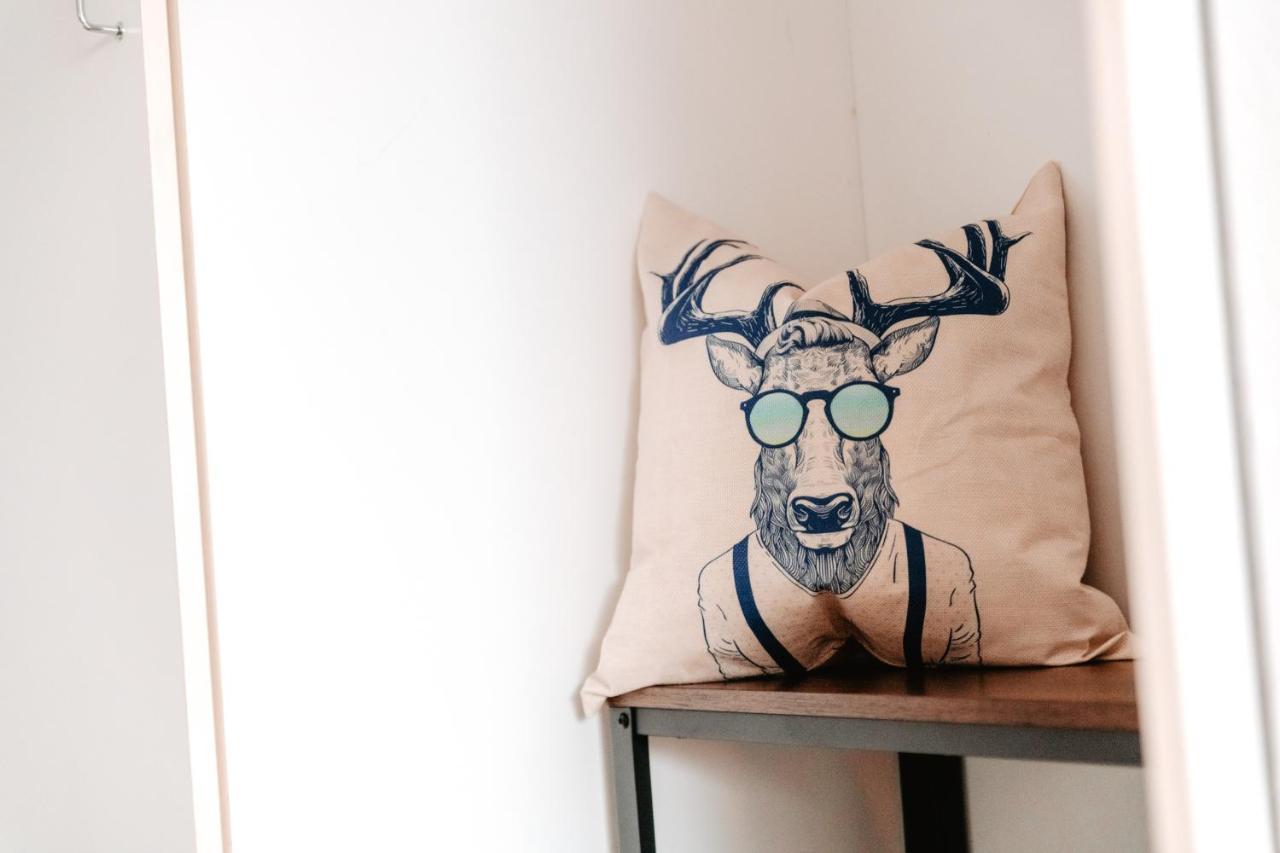 Cozystay - Gemuetliche Wohnung Im Oberharz Sankt Andreasberg Εξωτερικό φωτογραφία